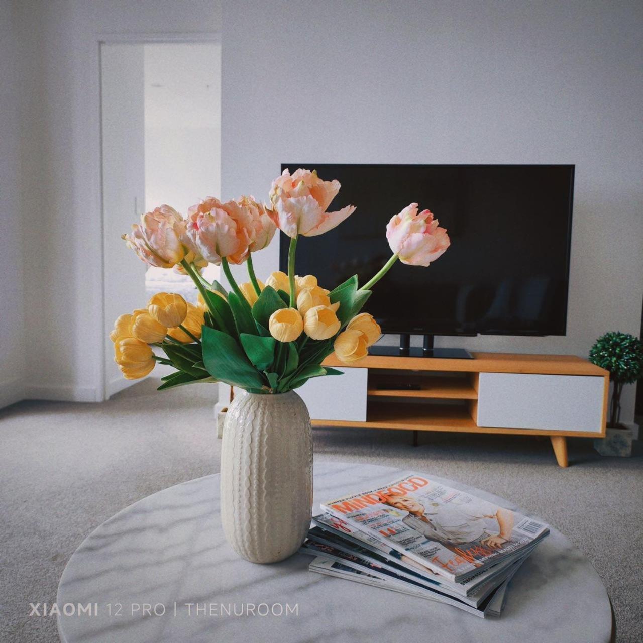 Auckland Birkenhead Bnb מראה חיצוני תמונה